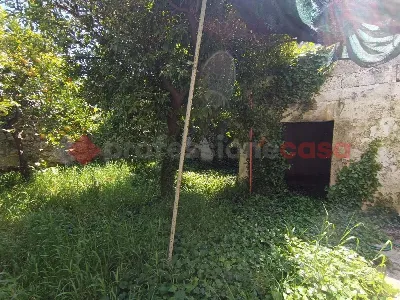 Casa Indipendente in vendita a Minervino d... - foto 2