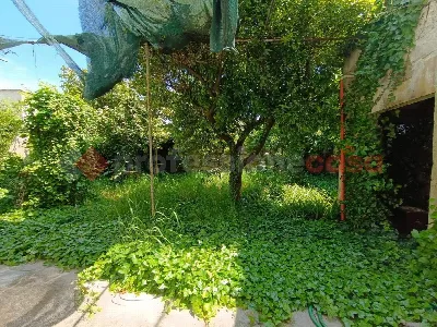 Casa Indipendente in vendita a Minervino d... - foto 6