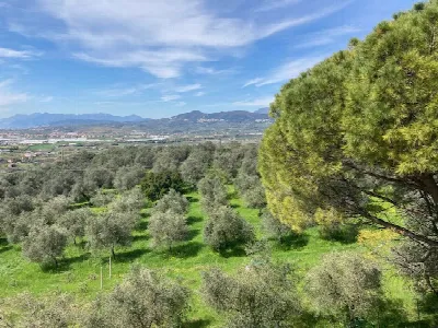 Villetta a schiera in vendita a Olevano su... - foto 5