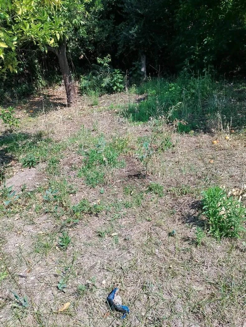 Rustico/Casale in vendita a Pontecagnano Faiano - foto 3