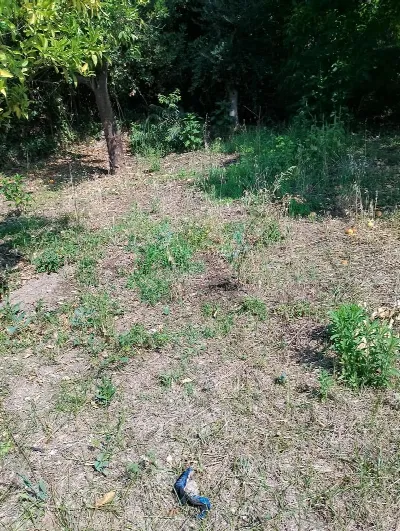 Rustico/Casale in vendita a Pontecagnano F... - foto 3