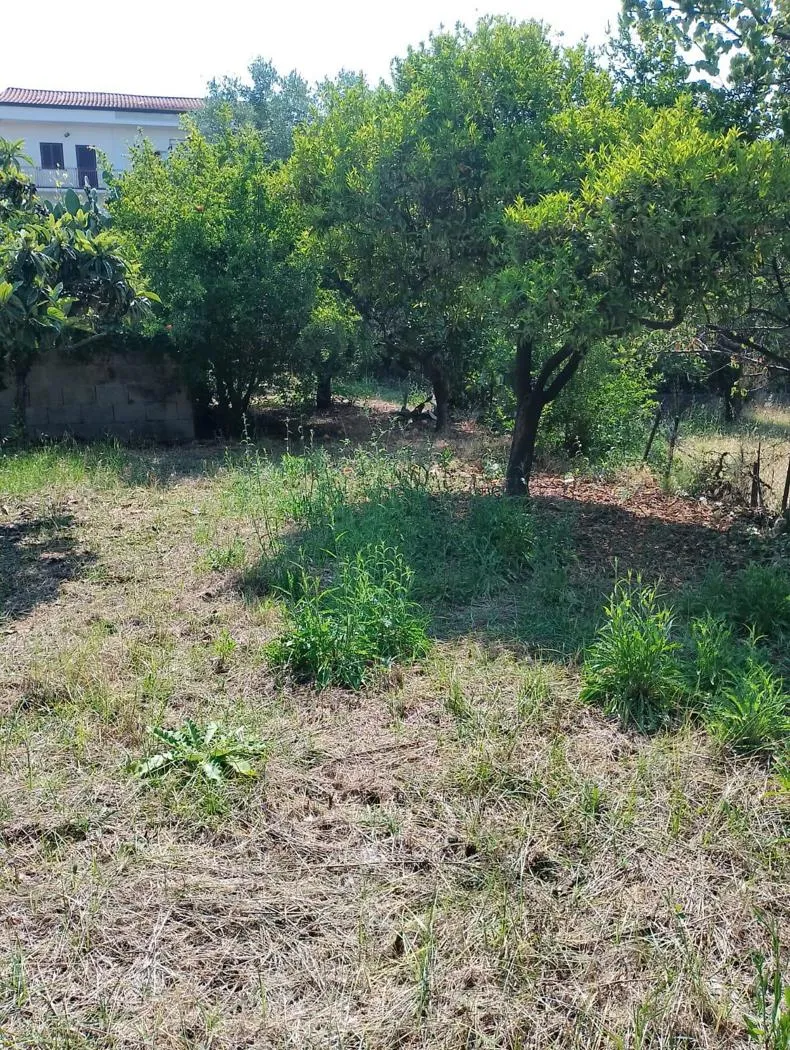 Rustico/Casale in vendita a Pontecagnano Faiano - foto 4