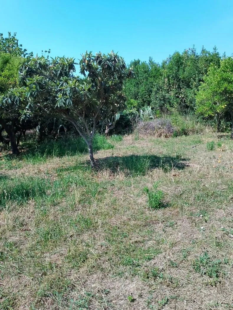 Rustico/Casale in vendita a Pontecagnano Faiano - foto 5