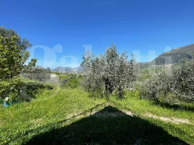 Villa in vendita a Montecorvino Rovella - foto 3