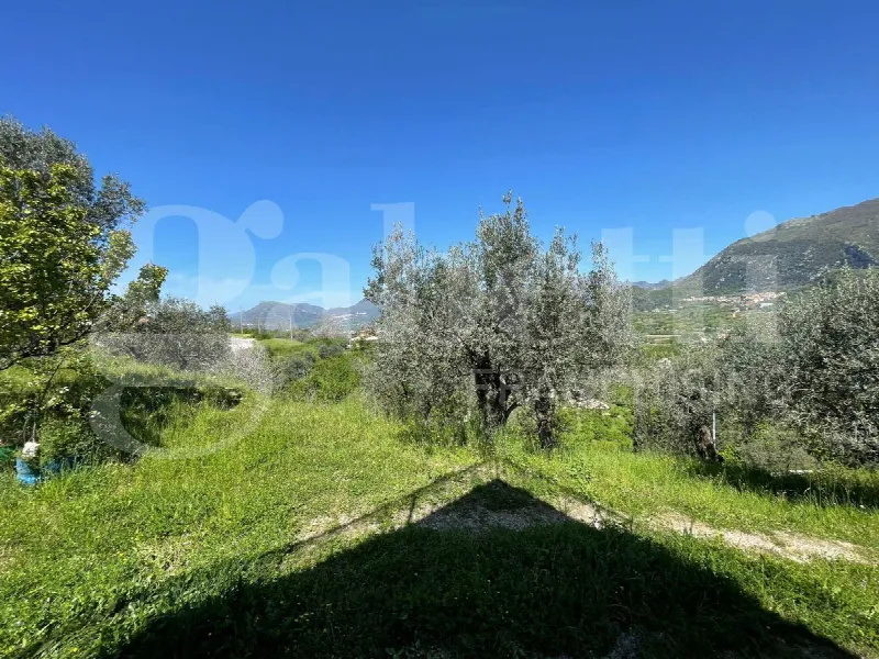 Villa in vendita a Montecorvino Rovella - foto 3