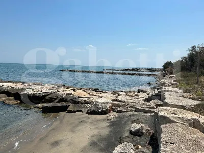 Casa Indipendente in vendita a Margherita ... - foto 2