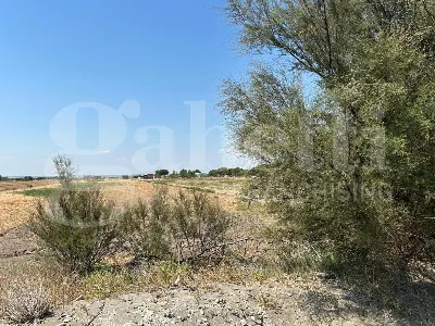 Casa Indipendente in vendita a Margherita ... - foto 8