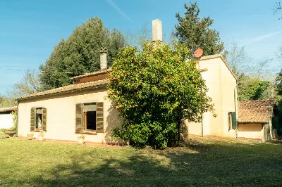 Appartamento in vendita a Bibbona - foto 8