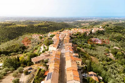 Appartamento in vendita a Riparbella - foto 5