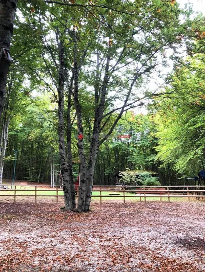 Appartamento in vendita a Campo di Giove - foto 5