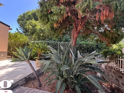 Villetta a schiera in vendita a Gioiosa Ma... - foto 5