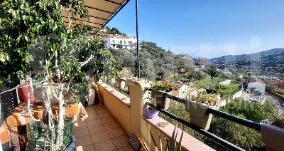 Appartamento in vendita a Dolcedo - foto 1