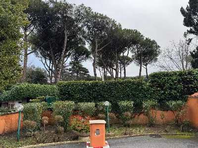 Villa in vendita a Roma, Casetta Mattei, P... - foto 7