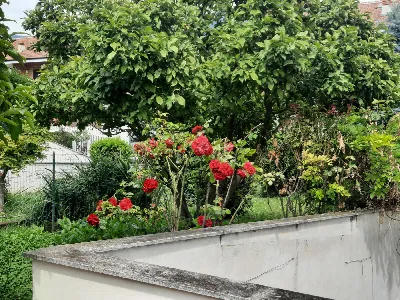 Villetta a schiera in vendita a Avigliana - foto 3