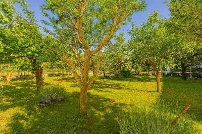 Casa Indipendente in vendita a Caselette - foto 8
