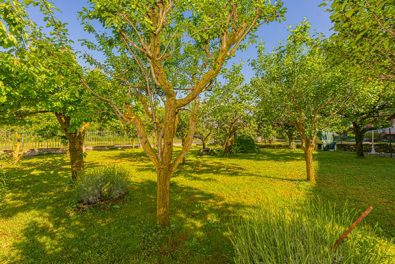Casa Indipendente in vendita a Caselette - foto 8