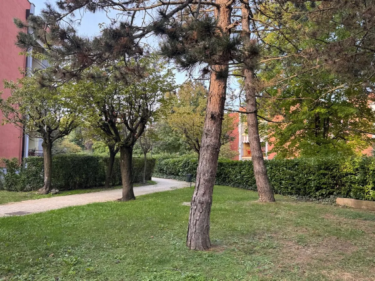 Appartamento in vendita ad Alpignano - foto 4