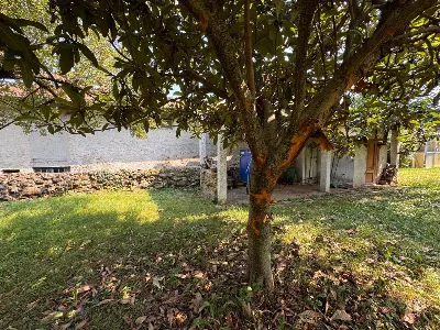 Rustico/Casale in vendita a Givoletto - foto 3