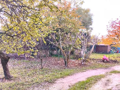 Appartamento in vendita a Avezzano - foto 5