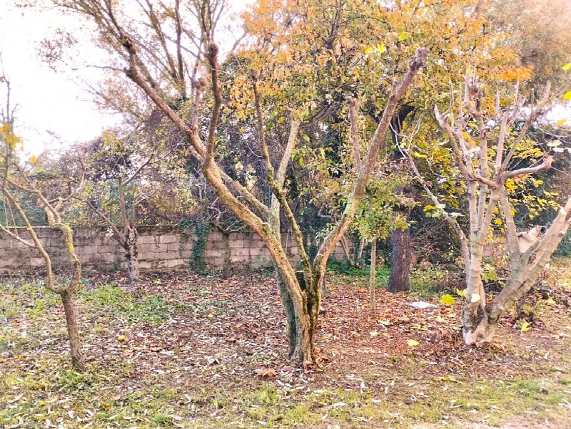 Appartamento in vendita a Avezzano - foto 6