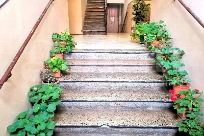 Appartamento in vendita a Avezzano - foto 4