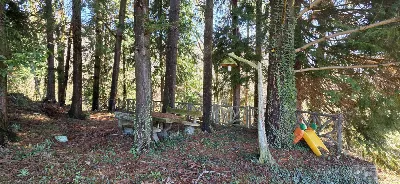 Rustico/Casale in vendita a Cantalupa - foto 8