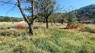 Casa Indipendente in vendita a Cumiana - foto 3