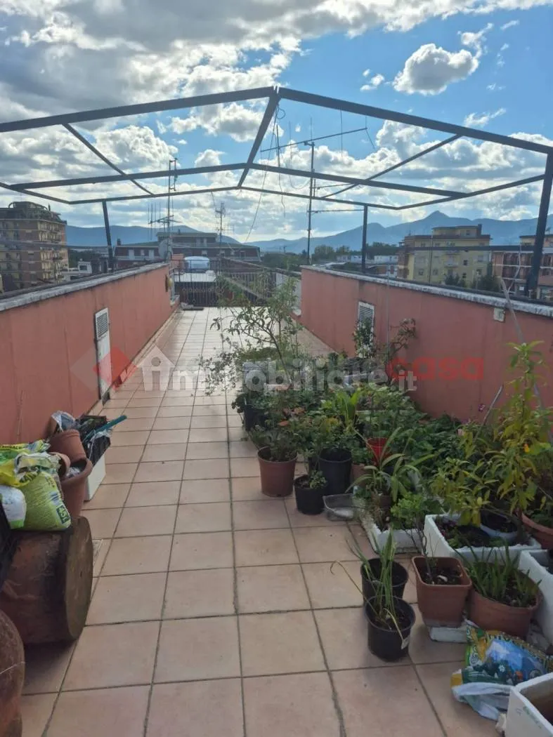 Appartamento in vendita a Frosinone - foto 2