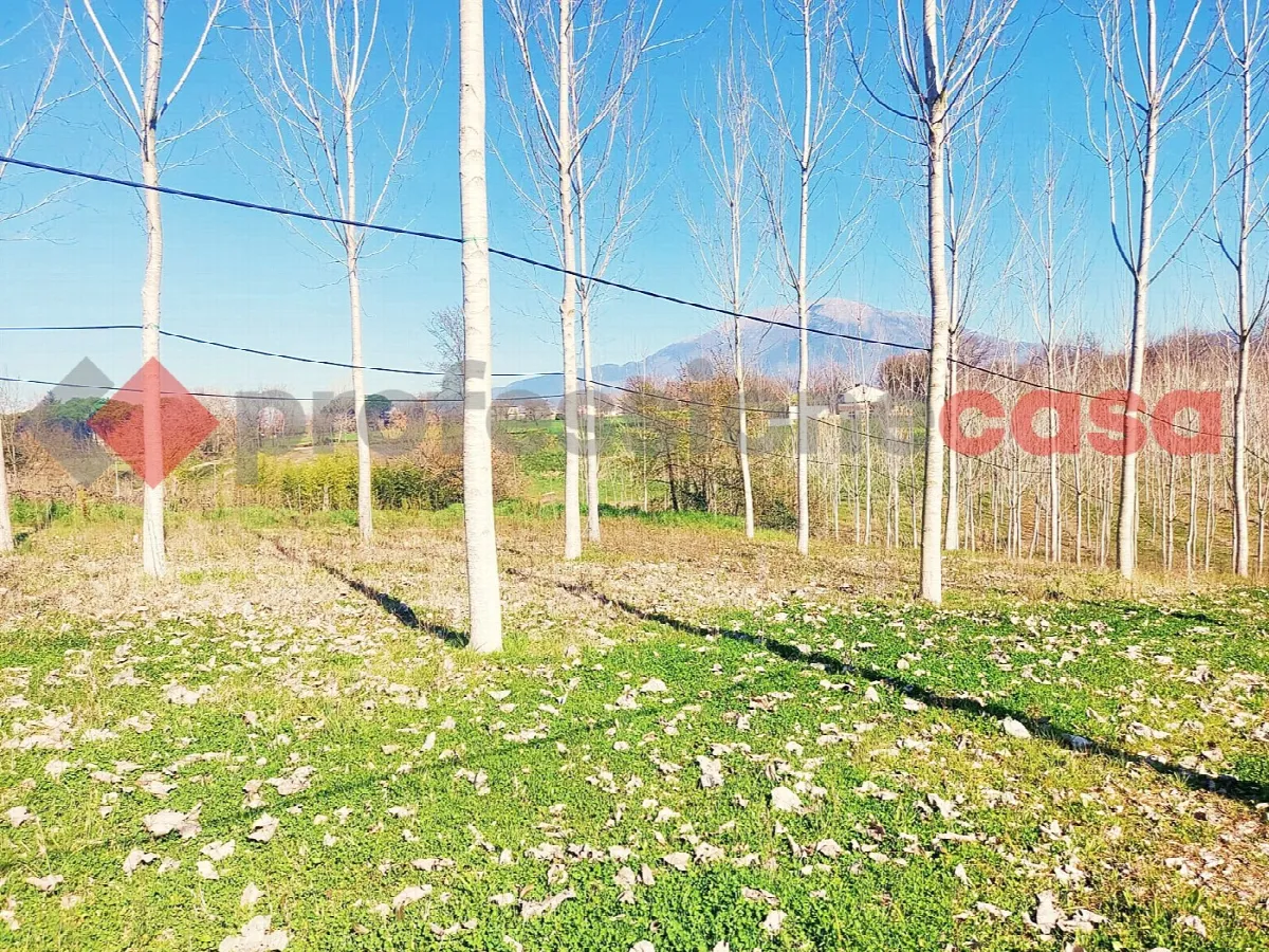 Rustico/Casale in vendita a Pignataro Interamna - foto 2