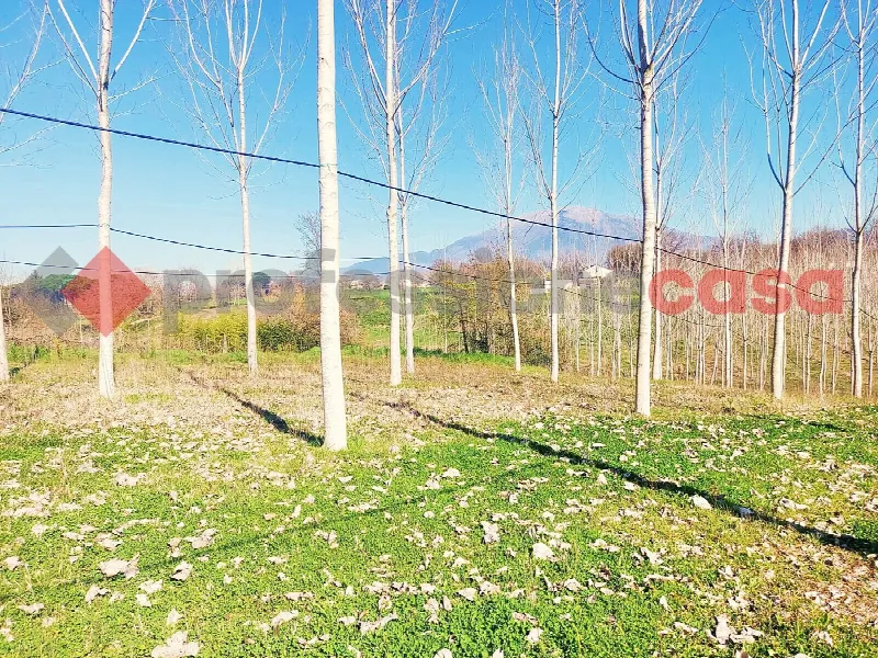 Rustico/Casale in vendita a Pignataro Interamna - foto 2
