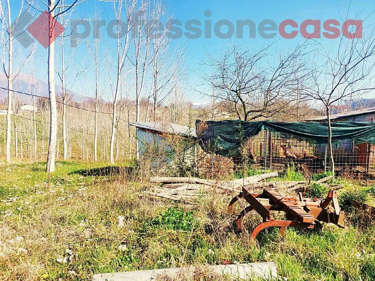 Rustico/Casale in vendita a Pignataro Interamna - foto 3