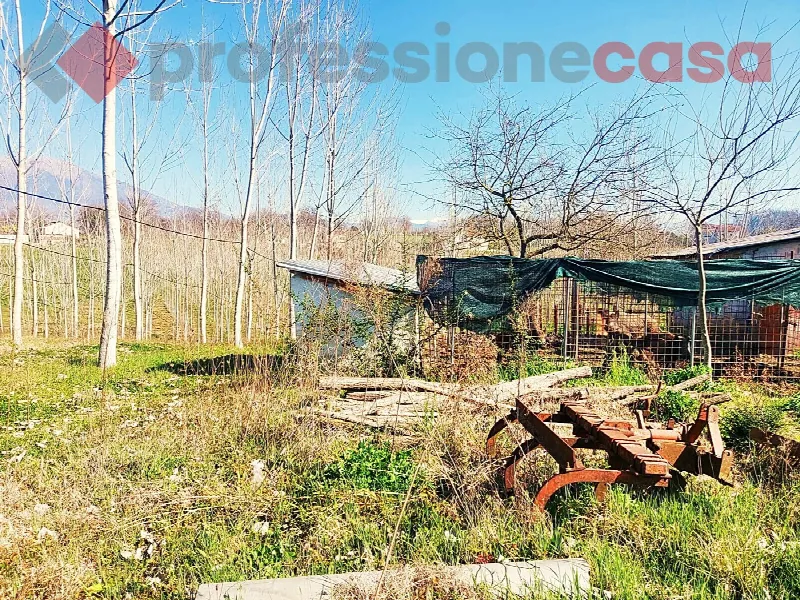 Rustico/Casale in vendita a Pignataro Interamna - foto 3