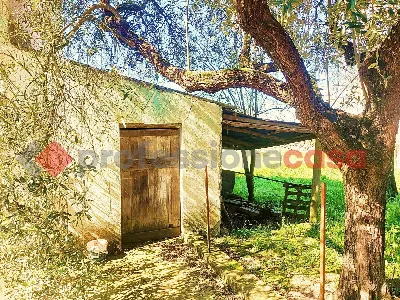 Casa Indipendente in vendita a Rocca d'Eva... - foto 8