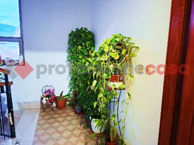 Appartamento in vendita a Piedimonte San G... - foto 8