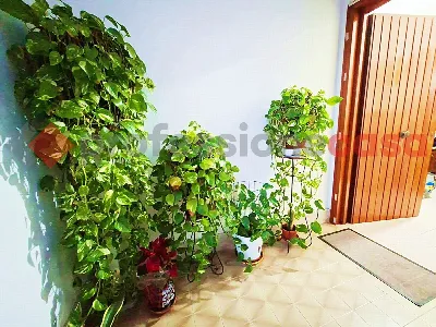 Appartamento in vendita a Piedimonte San G... - foto 9