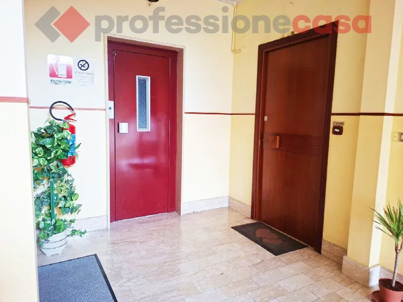 Appartamento in vendita a Aquino - foto 5