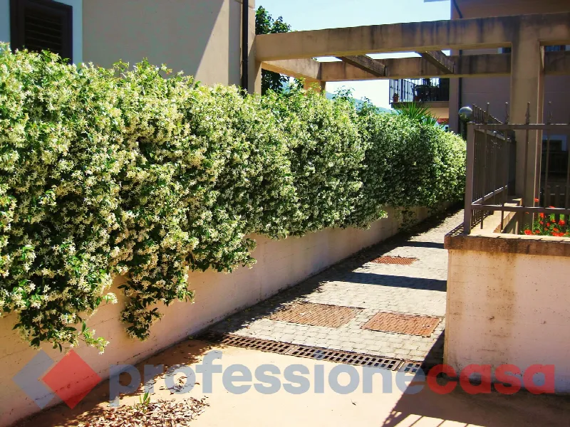 Appartamento in vendita a Piedimonte San Germano - foto 1