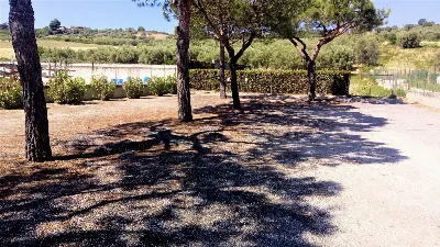 Ufficio in vendita a Tortoreto - foto 3