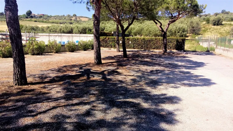 Ufficio in vendita a Tortoreto - foto 3