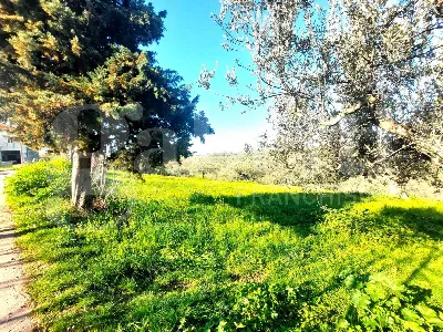 Appartamento in vendita a Cepagatti - foto 2