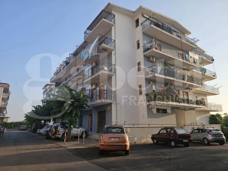 Appartamento in vendita a Santa Maria del Cedro - foto 1