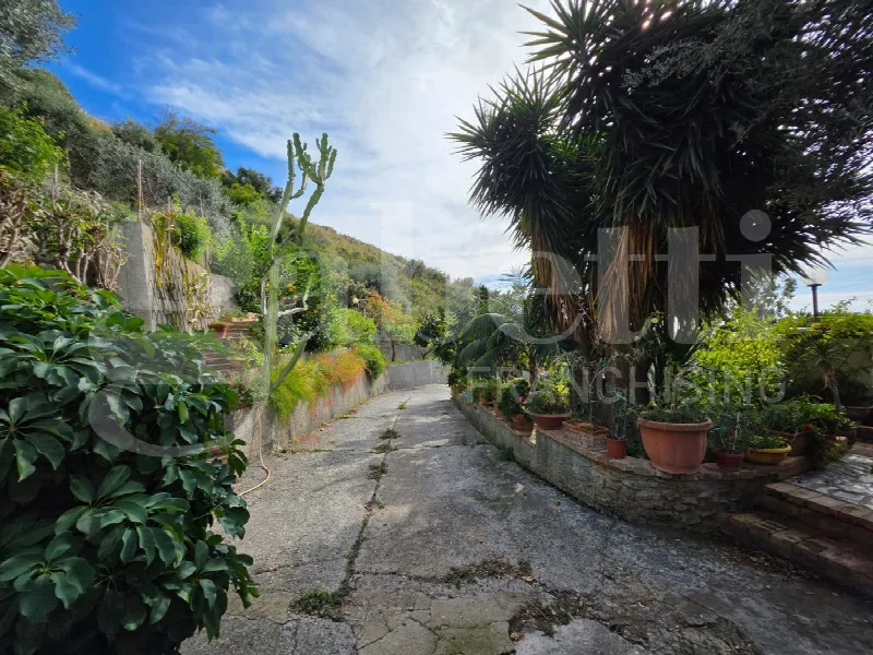 Villa in vendita a Cetraro - foto 4