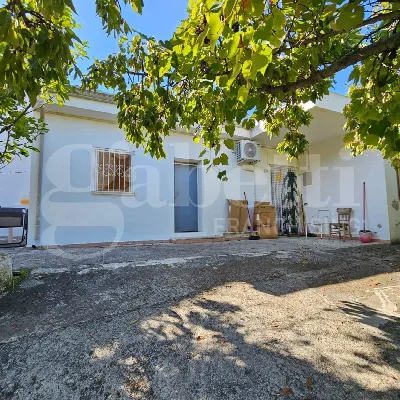 Palazzo/Stabile in vendita a Diamante - foto 2