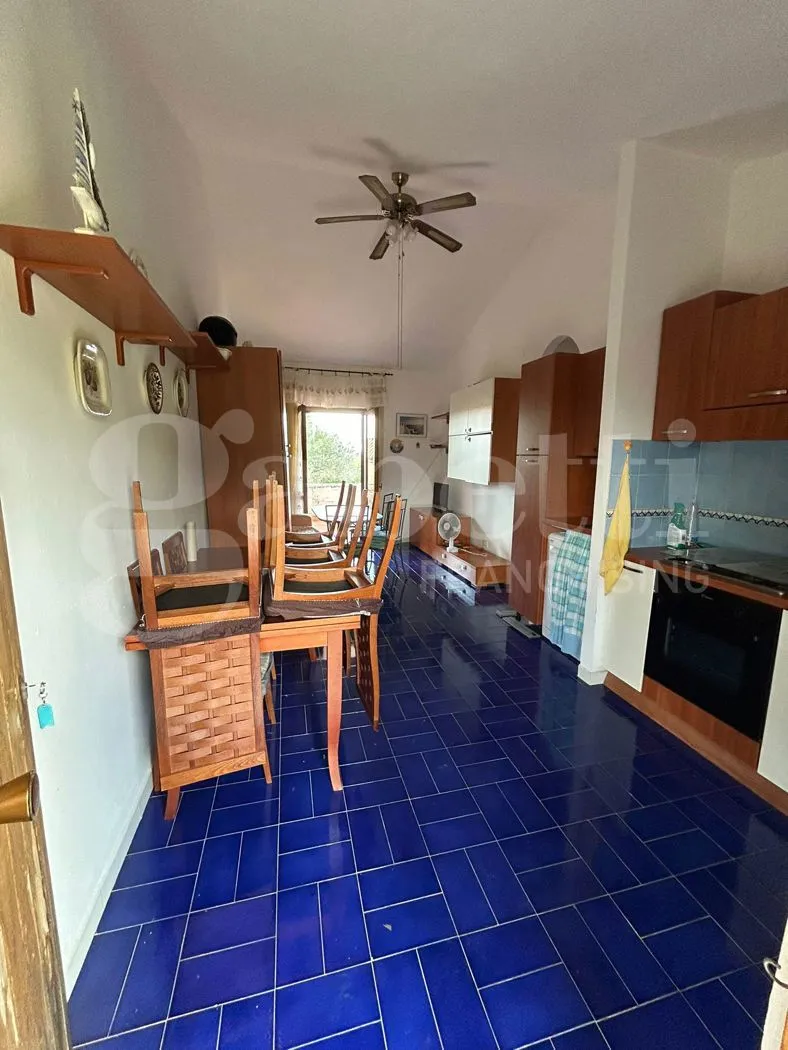 Appartamento in vendita a San Nicola Arcella - foto 2