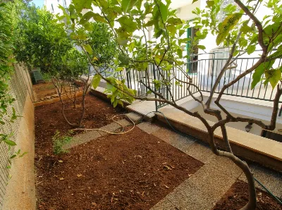 Villetta a schiera in vendita a Casamassim... - foto 5