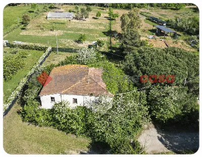 Casa Indipendente a Livorno