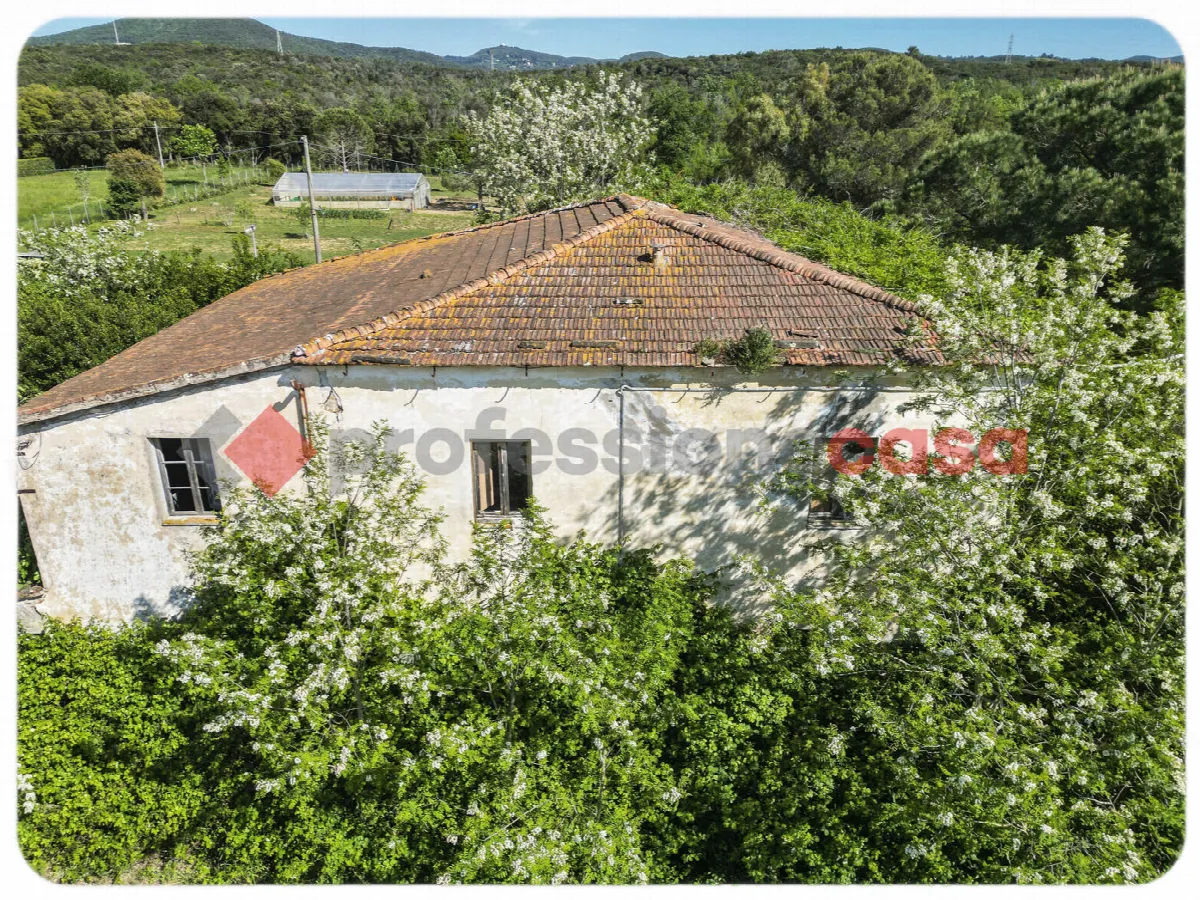 Casa Indipendente in vendita a Livorno, Porta A Terra, Padula, Cisternino, Limoncino, Valle Benedetta - foto 3