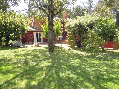 Casa Indipendente in vendita a Roma, Olgia... - foto 3