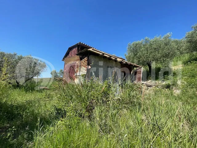 Rustico/Casale in vendita a Mentana - foto 1