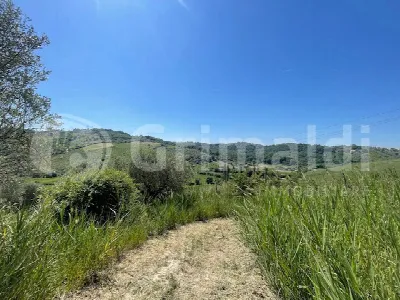 Rustico/Casale in vendita a Mentana - foto 10